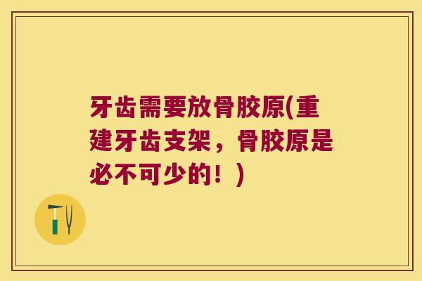 牙齿需要放骨胶原(重建牙齿支架,骨胶原是必不可少的!)