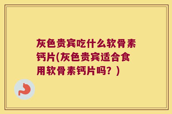 灰色贵宾吃什么软骨素钙片(灰色贵宾适合食用软骨素钙片吗?)