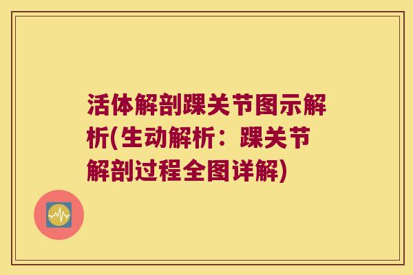 活体解剖踝关节图示解析(生动解析：踝关节解剖过程全图详解)