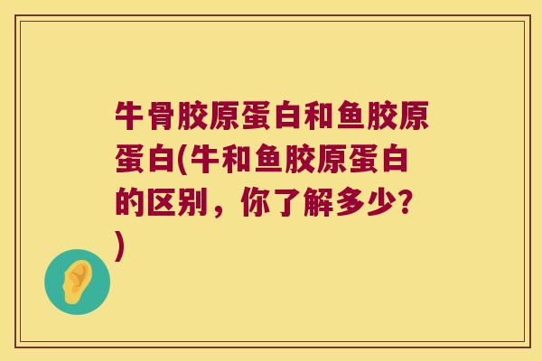 牛骨胶原蛋白和鱼胶原蛋白(牛和鱼胶原蛋白的区别,你了解多少?)