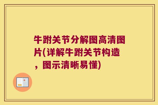牛跗关节分解图高清图片(详解牛跗关节构造,图示清晰易懂)