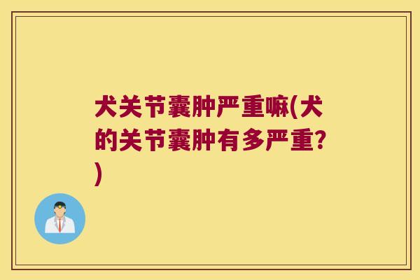 犬关节囊肿严重嘛(犬的关节囊肿有多严重?)