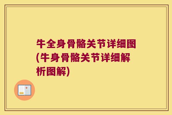 牛全身骨骼关节详细图(牛身骨骼关节详细解析图解)