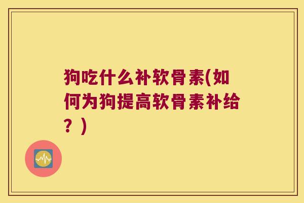 狗吃什么补软骨素(如何为狗提高软骨素补给?)