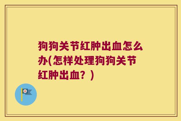狗狗关节红肿出血怎么办(怎样处理狗狗关节红肿出血?)