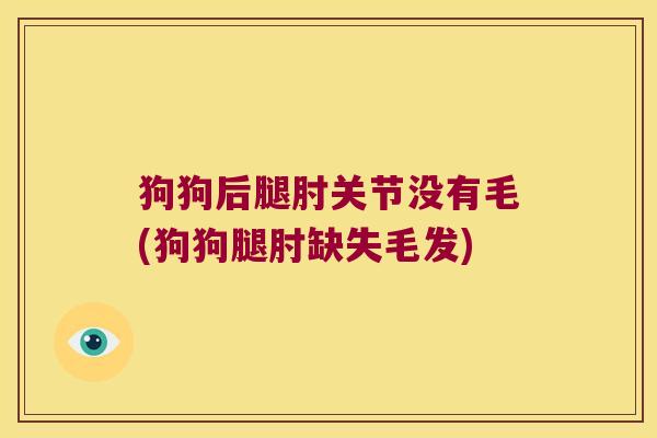 狗狗后腿肘关节没有毛(狗狗腿肘缺失毛发)