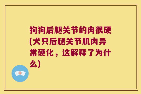 狗狗后腿关节的肉很硬(犬只后腿关节肌肉异常硬化,这解释了为什么)
