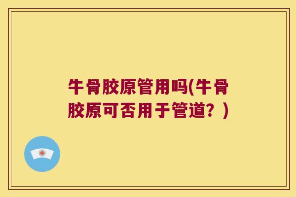 牛骨胶原管用吗(牛骨胶原可否用于管道?) 牛骨胶原管用吗(牛骨胶原可否用于管道?)