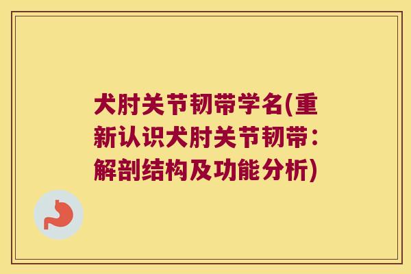犬肘关节韧带学名(重新认识犬肘关节韧带:解剖结构及功能分析)