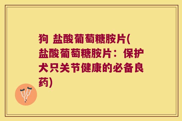 狗 盐酸葡萄糖胺片(盐酸葡萄糖胺片:保护犬只关节健康的必备良药)