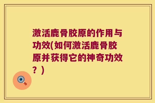 激活鹿骨胶原的作用与功效(如何激活鹿骨胶原并获得它的神奇功效?)