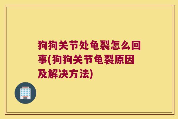 狗狗关节处龟裂怎么回事(狗狗关节龟裂原因及解决方法)