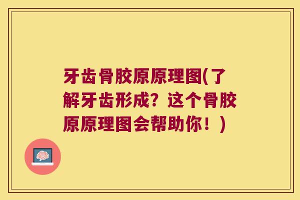 牙齿骨胶原原理图(了解牙齿形成?这个骨胶原原理图会帮助你!)