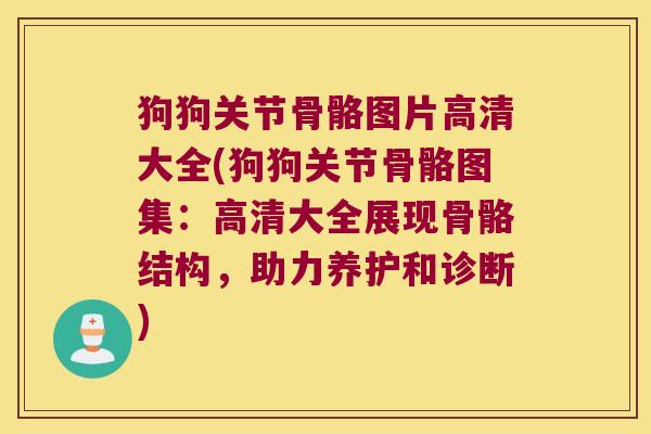 狗狗关节骨骼图片高清大全(狗狗关节骨骼图集:高清大全展现骨骼结构,助力养护和诊断)