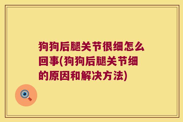 狗狗后腿关节很细怎么回事(狗狗后腿关节细的原因和解决方法)
