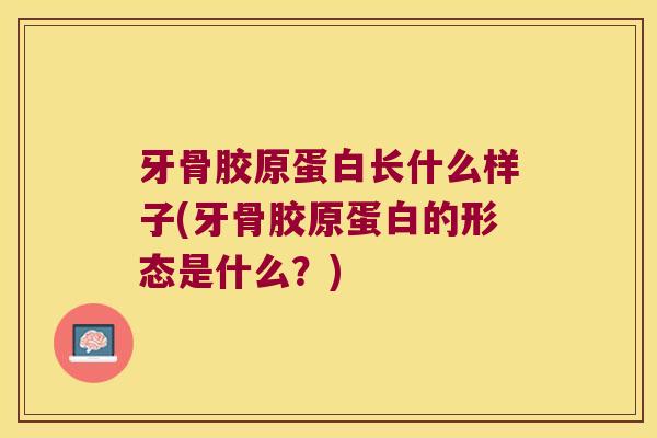牙骨胶原蛋白长什么样子(牙骨胶原蛋白的形态是什么?)