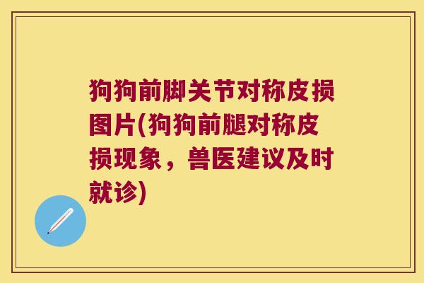 狗狗前脚关节对称皮损图片(狗狗前腿对称皮损现象,兽医建议及时就诊)