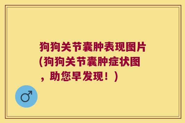 狗狗关节囊肿表现图片(狗狗关节囊肿症状图,助您早发现!)