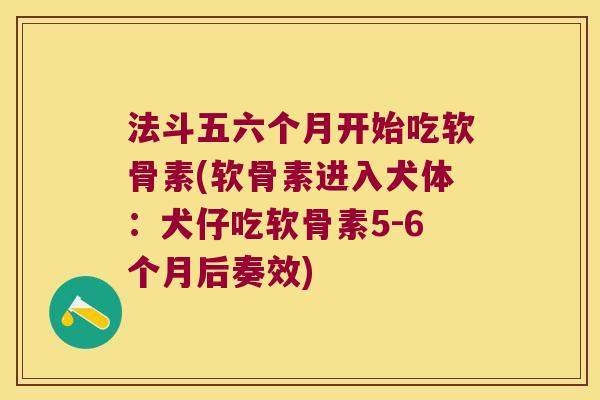 法斗五六个月开始吃软骨素(软骨素进入犬体:犬仔吃软骨素5-6个月后奏效)