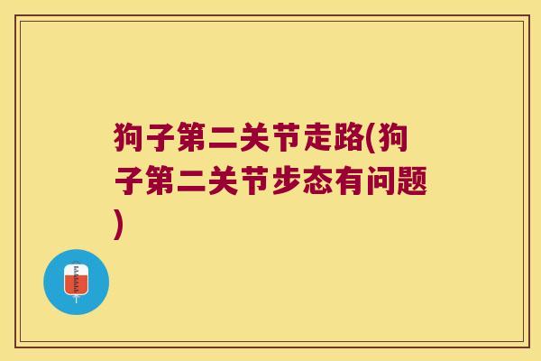 狗子第二关节走路(狗子第二关节步态有问题)