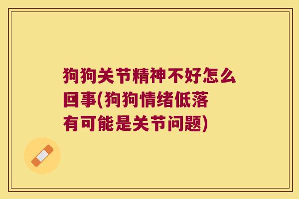 狗狗关节精神不好怎么回事(狗狗情绪低落 有可能是关节问题)