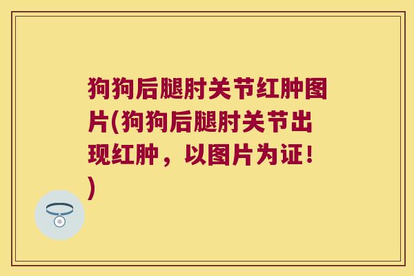 狗狗后腿肘关节红肿图片(狗狗后腿肘关节出现红肿,以图片为证!)