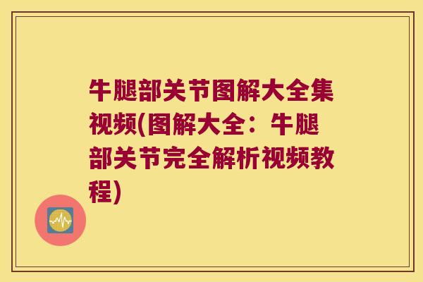 牛腿部关节图解大全集视频(图解大全:牛腿部关节完全解析视频教程)