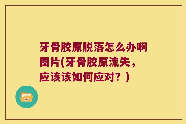 牙骨胶原脱落怎么办啊图片(牙骨胶原流失,应该该如何应对?)