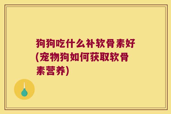 狗狗吃什么补软骨素好(宠物狗如何获取软骨素营养)