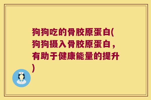 狗狗吃的骨胶原蛋白(狗狗摄入骨胶原蛋白,有助于健康能量的提升)
