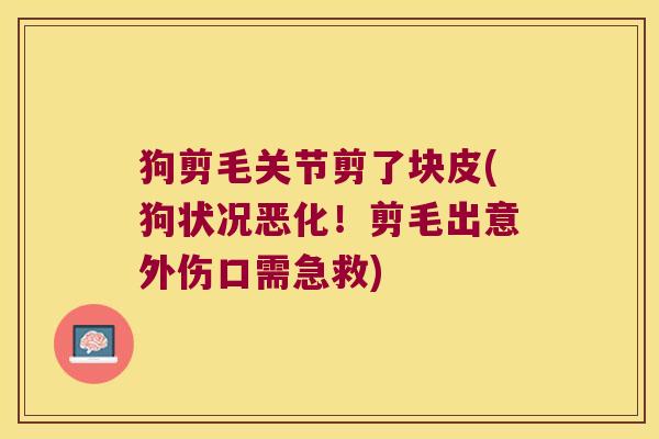 狗剪毛关节剪了块皮(狗状况恶化!剪毛出意外伤口需急救)