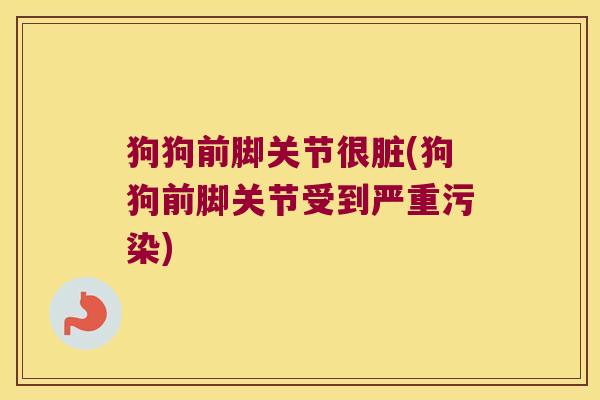 狗狗前脚关节很脏(狗狗前脚关节受到严重污染)