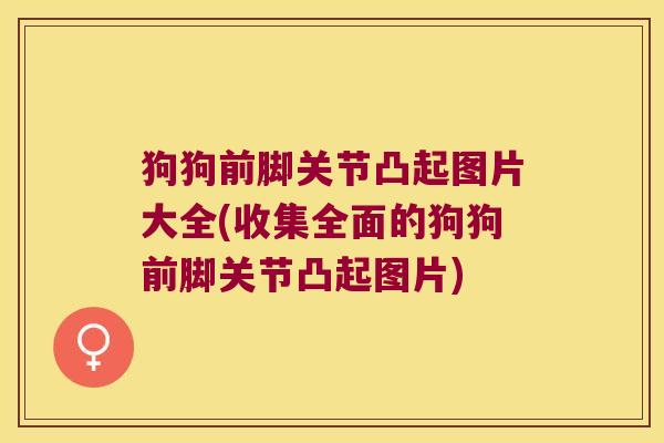 狗狗前脚关节凸起图片大全(收集全面的狗狗前脚关节凸起图片)