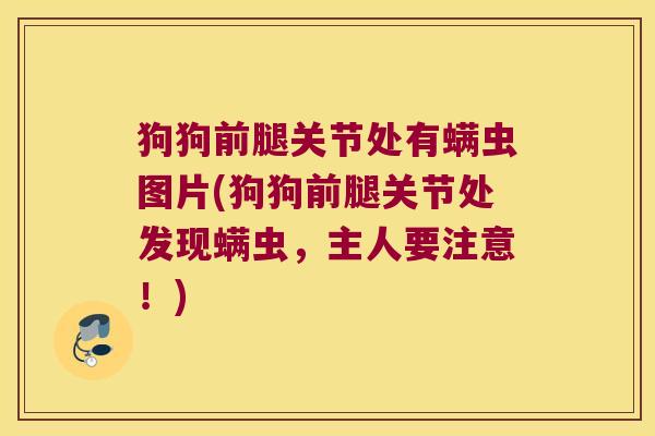狗狗前腿关节处有螨虫图片(狗狗前腿关节处发现螨虫,主人要注意!)