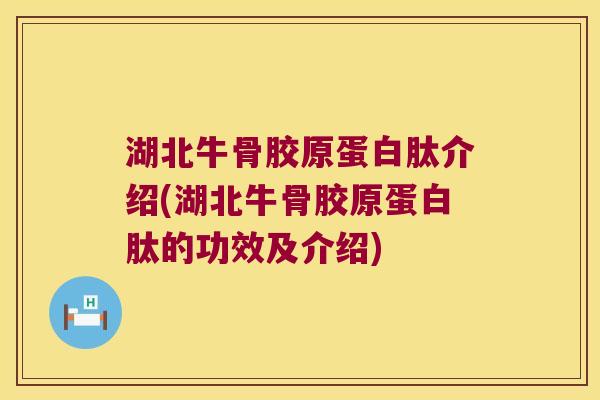 湖北牛骨胶原蛋白肽介绍(湖北牛骨胶原蛋白肽的功效及介绍)