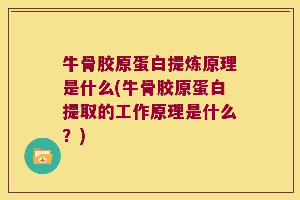 牛骨胶原蛋白提炼原理是什么(牛骨胶原蛋白提取的工作原理是什么?)