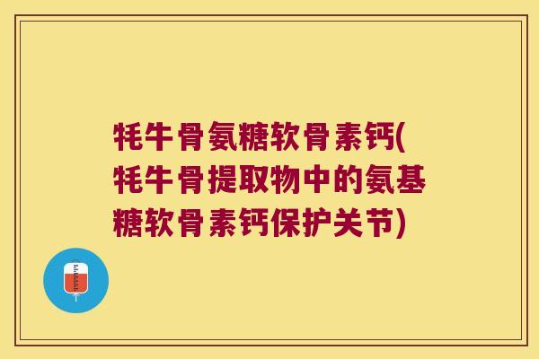 牦牛骨氨糖软骨素钙(牦牛骨提取物中的氨基糖软骨素钙保护关节)