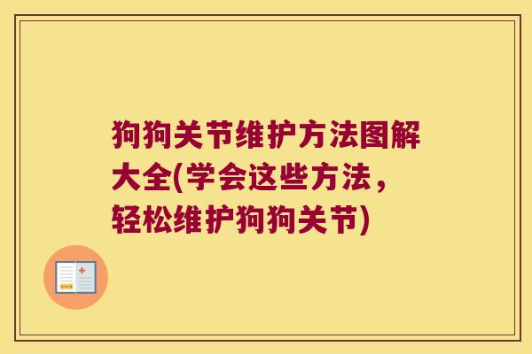 狗狗关节维护方法图解大全(学会这些方法,轻松维护狗狗关节)