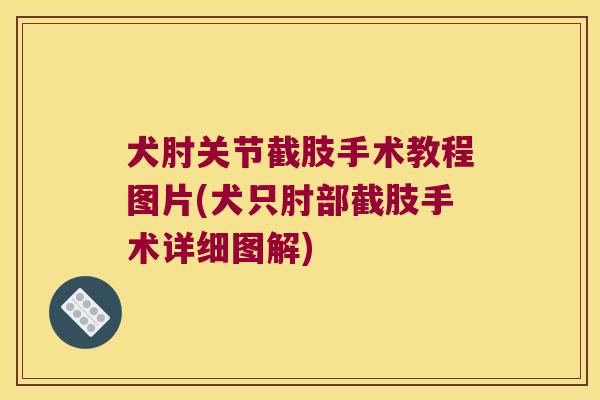 犬肘关节截肢手术教程图片(犬只肘部截肢手术详细图解)