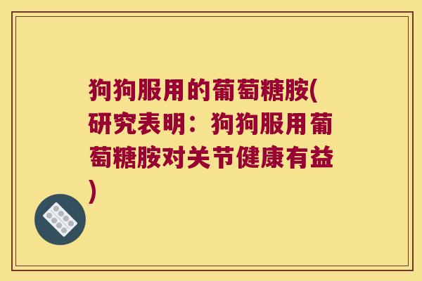 狗狗服用的葡萄糖胺(研究表明:狗狗服用葡萄糖胺对关节健康有益)