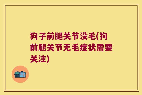 狗子前腿关节没毛(狗前腿关节无毛症状需要关注)