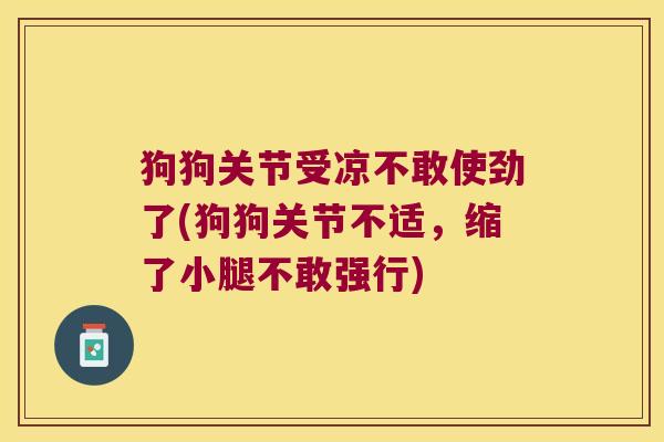 狗狗关节受凉不敢使劲了(狗狗关节不适,缩了小腿不敢强行)
