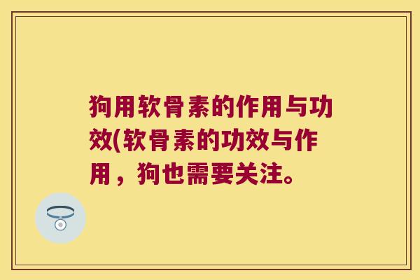 狗用软骨素的作用与功效(软骨素的功效与作用,狗也需要关注。