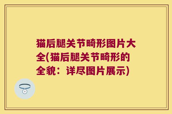 猫后腿关节畸形图片大全(猫后腿关节畸形的全貌:详尽图片展示)