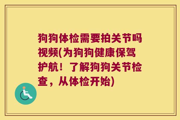 狗狗体检需要拍关节吗视频(为狗狗健康保驾护航!了解狗狗关节检查,从体检开始)
