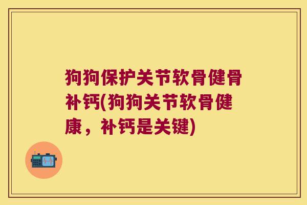 狗狗保护关节软骨健骨补钙(狗狗关节软骨健康，补钙是关键)