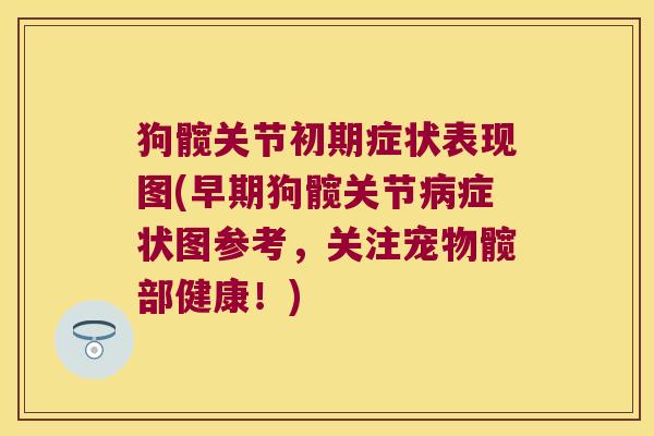 狗髋关节初期症状表现图(早期狗髋关节病症状图参考,关注宠物髋部健康!)
