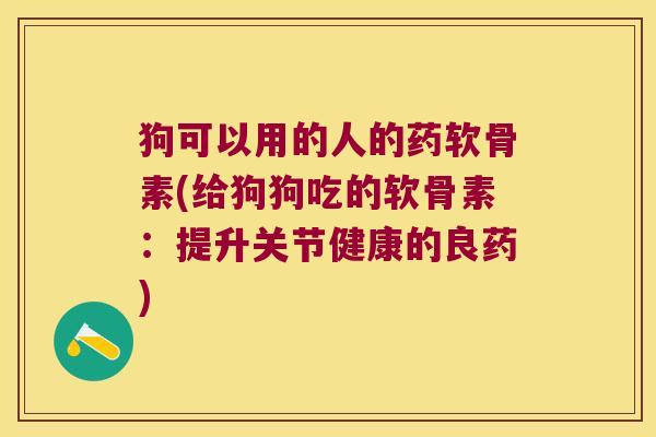 狗可以用的人的药软骨素(给狗狗吃的软骨素:提升关节健康的良药)