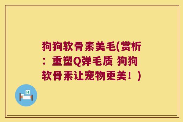 狗狗软骨素美毛(赏析:重塑Q弹毛质 狗狗软骨素让宠物更美!)