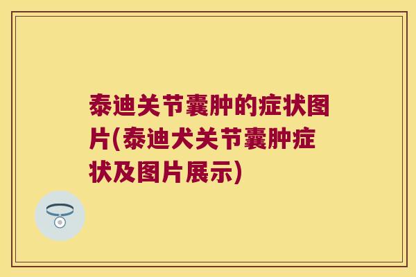 泰迪关节囊肿的症状图片(泰迪犬关节囊肿症状及图片展示)